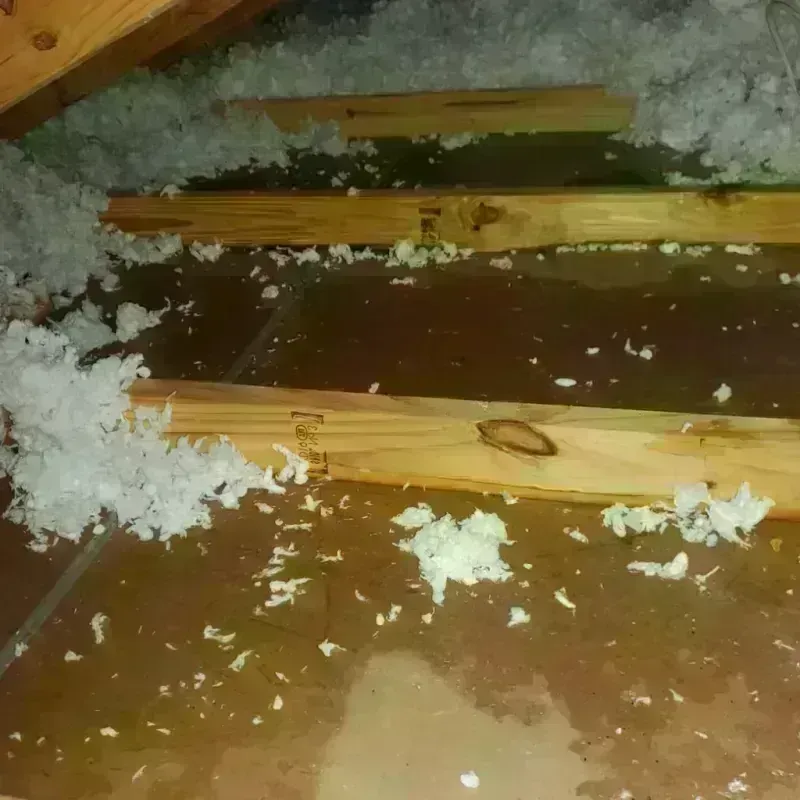 Attic Water Damage in Olivia, MN