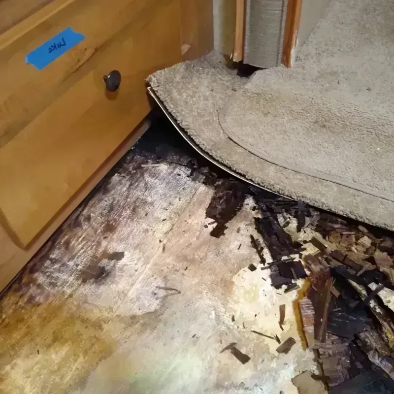 Best Wood Floor Water Damage Service in Olivia, MN